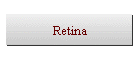 Retina