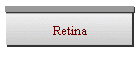 Retina