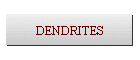 DENDRITES