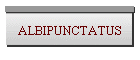 ALBIPUNCTATUS