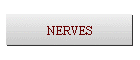 NERVES